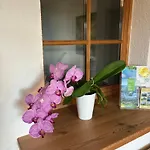 Garten Diwoky