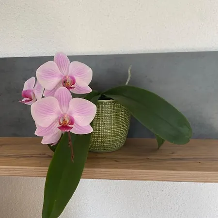 Apartment Garten Diwoky *