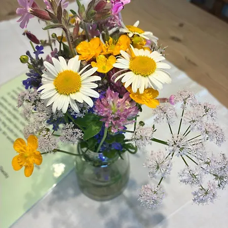 Apartment Garten Diwoky