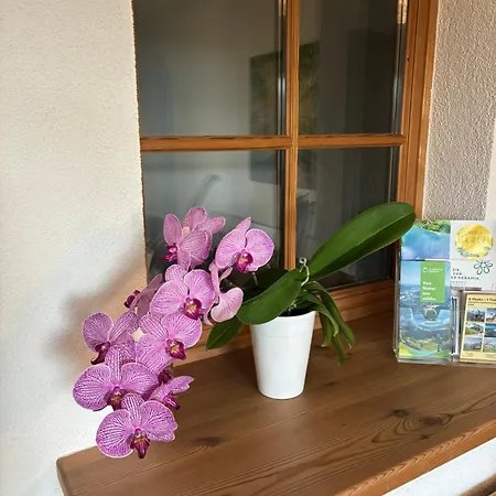 Garten Diwoky