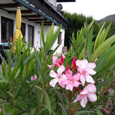 Garten Diwoky Apartmán Sankt Gilgen