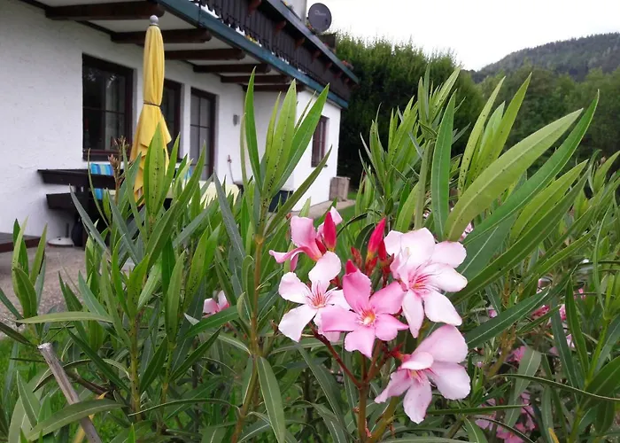 Garten Diwoky Apartmán Sankt Gilgen